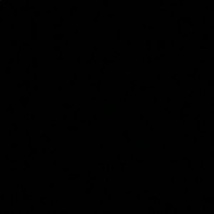 Meet your Posher, Kasey